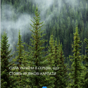 Постер “Карпати”| колекція «Патріотичні» | авторський декор 30×40 см