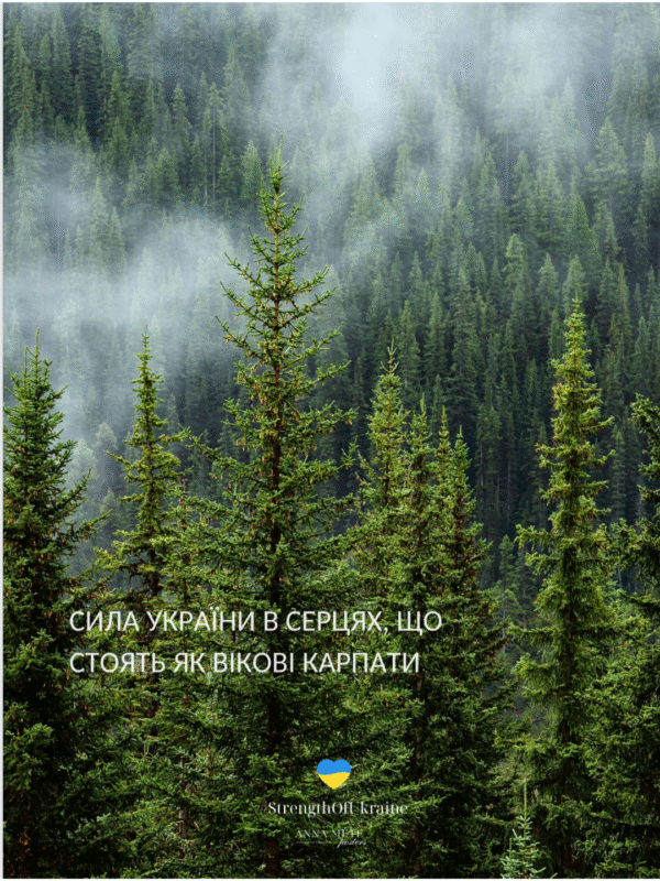 Постер “Карпати”| колекція «Патріотичні» | авторський декор 30×40 см